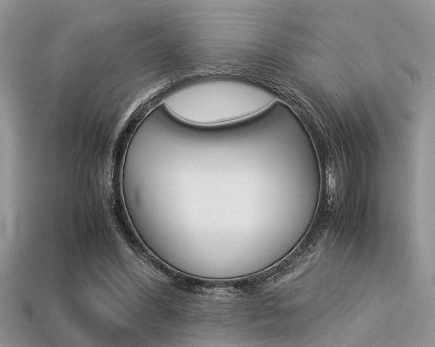 X0000113220396200909100927