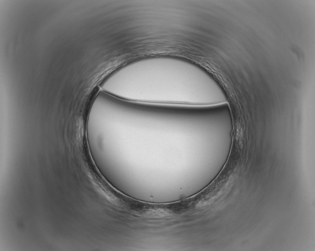 X0000113220397200909100927