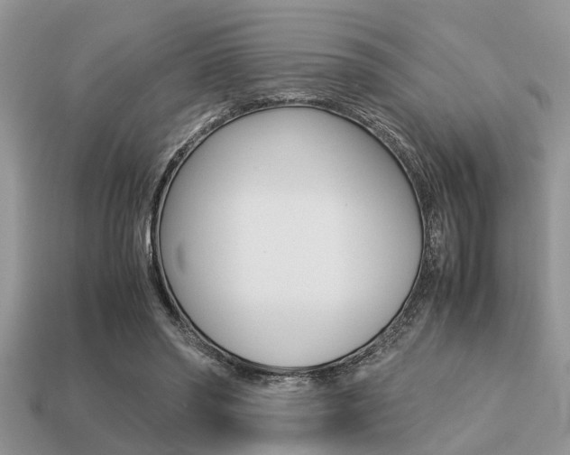X0000113220398200909100927