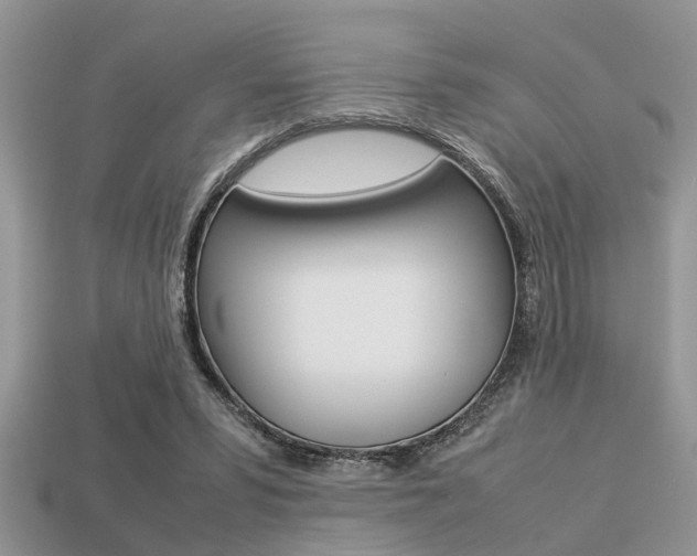 X0000113220399200909100927