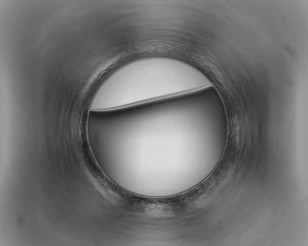 X0000113220400200909100927