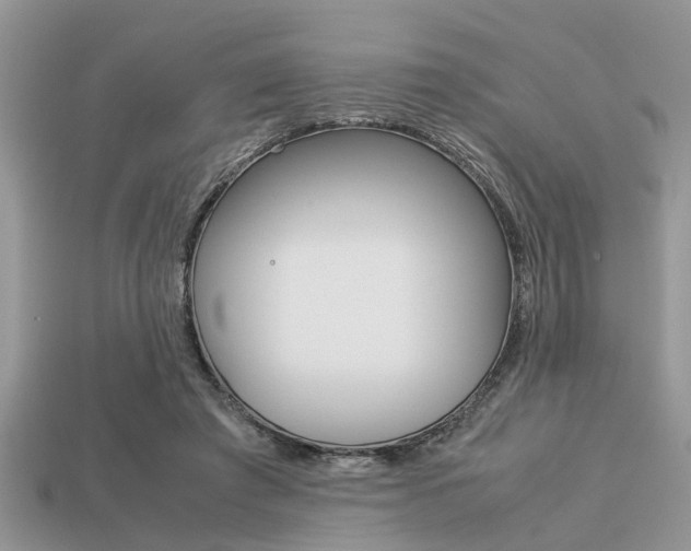 X0000113220401200909100927