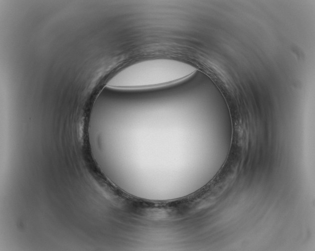 X0000113220404200909100927