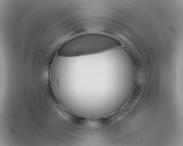 X0000113220405200909100927