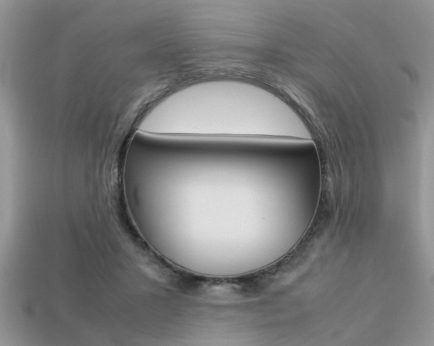 X0000113220407200909100927