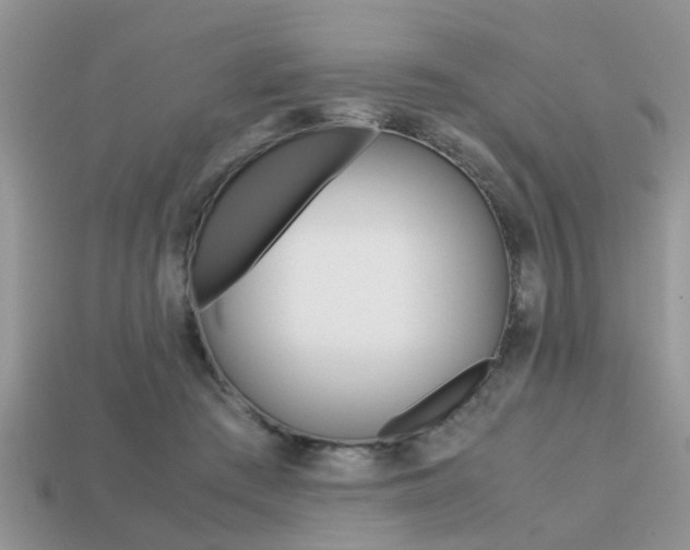 X0000113220409200909100927