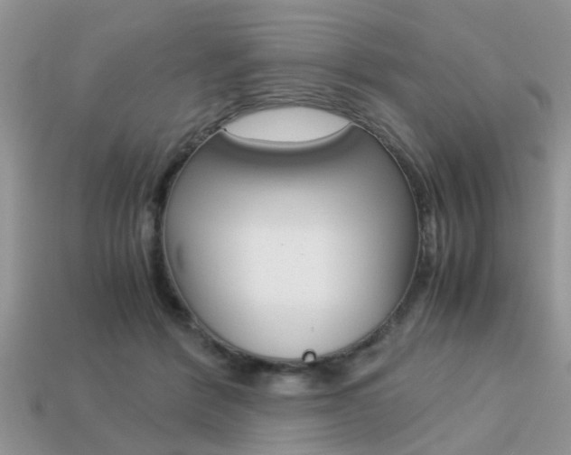 X0000113220412200909100926