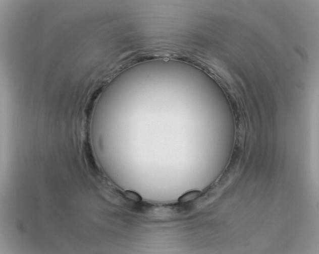 X0000113220413200909100926