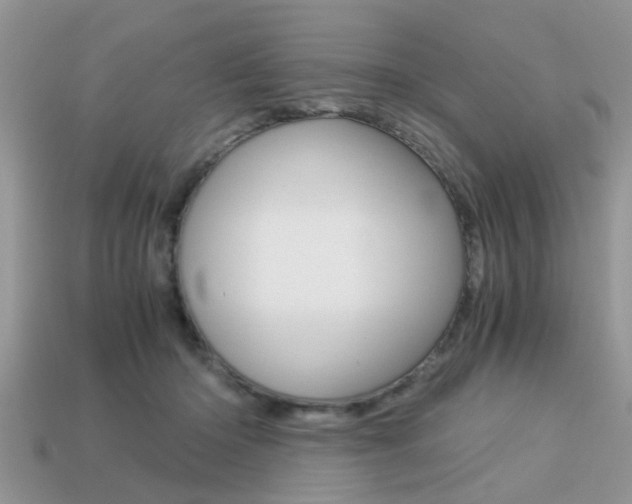 X0000113220414200909100926