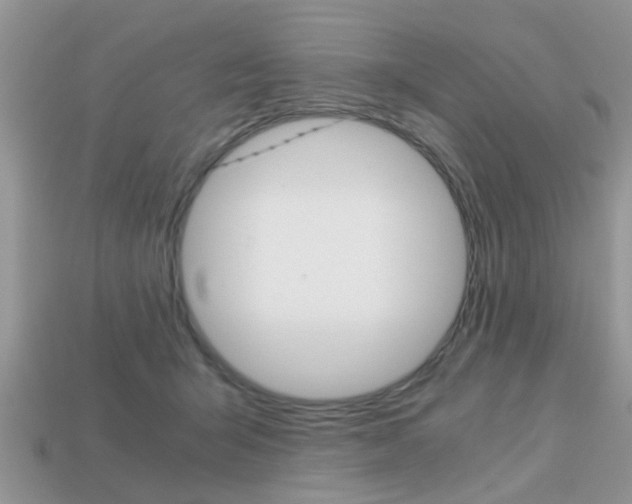 X0000113220415200909100926