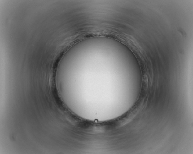X0000113220416200909100926