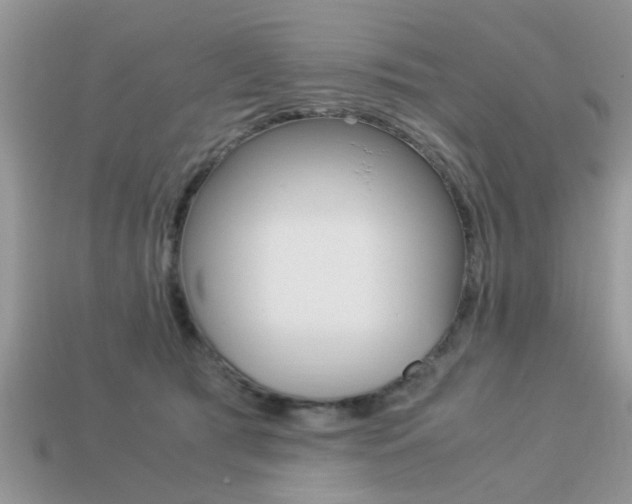 X0000113220417200909100926