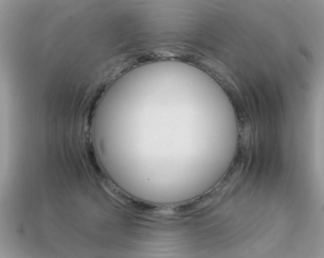X0000113220418200909100926
