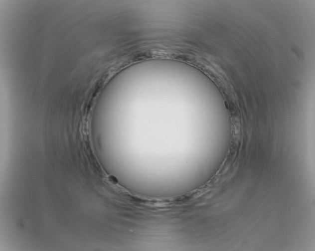 X0000113220419200909100926