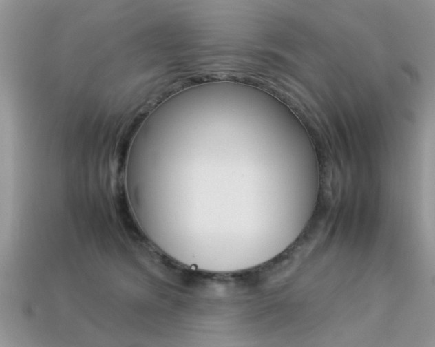 X0000113220420200909100926