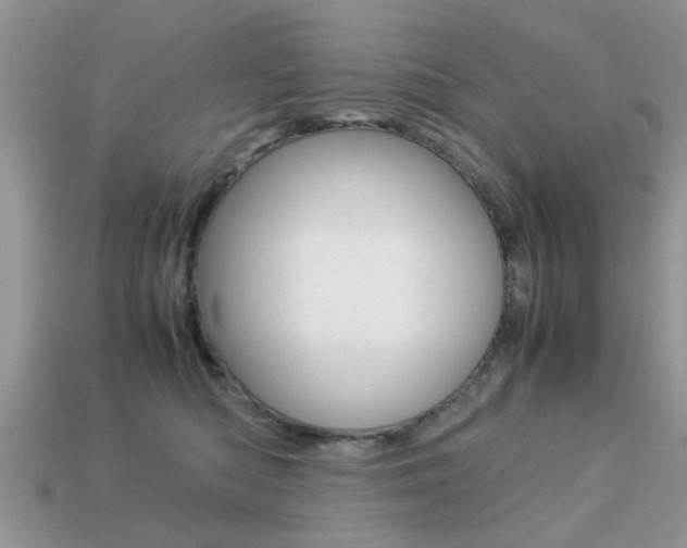 X0000113220422200909100926