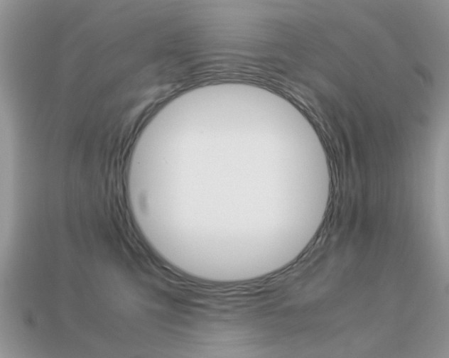 X0000113220423200909100926
