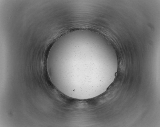 X0000113220424200909100926