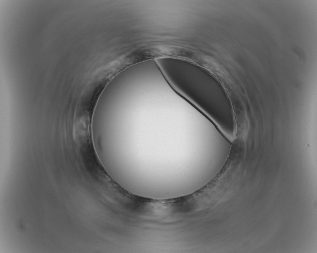 X0000113220425200909100926