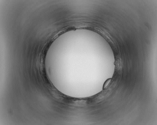 X0000113220426200909100926