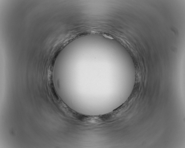 X0000113220427200909100926