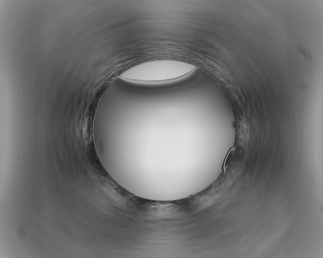 X0000113220428200909100926
