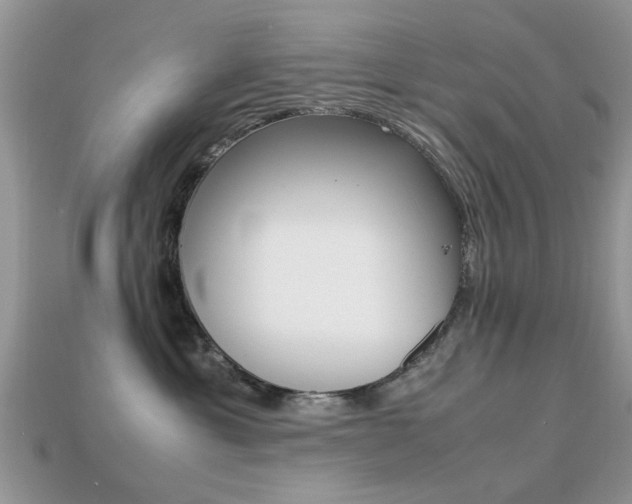 X0000113220429200909100926