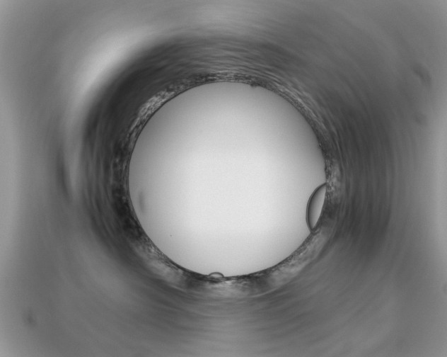 X0000113220430200909100926