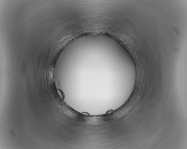 X0000113220432200909100926