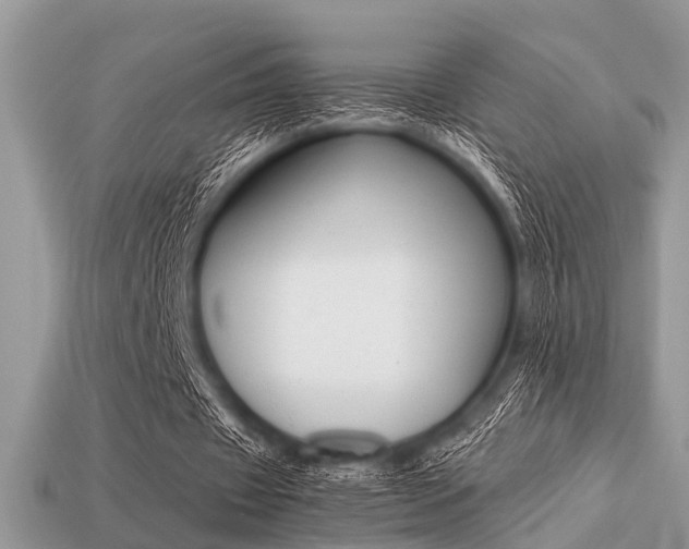 X0000113220433200909100926