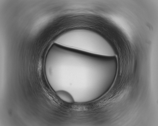 X0000113220435200909100926