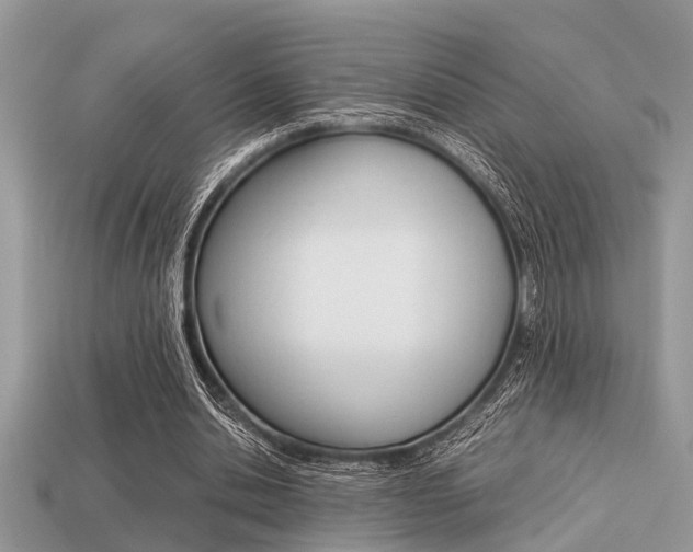 X0000113220438200909100926