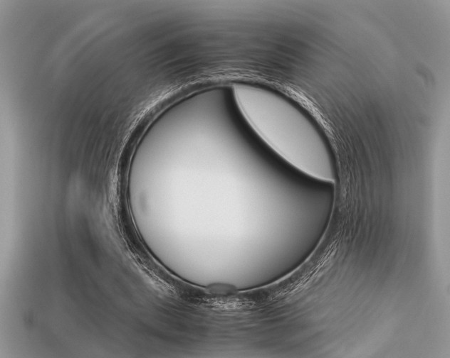 X0000113220439200909100926