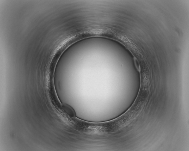 X0000113220440200909100926