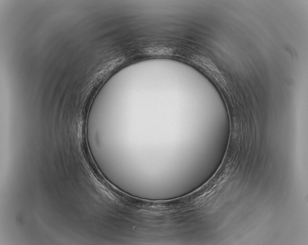 X0000113220441200909100926