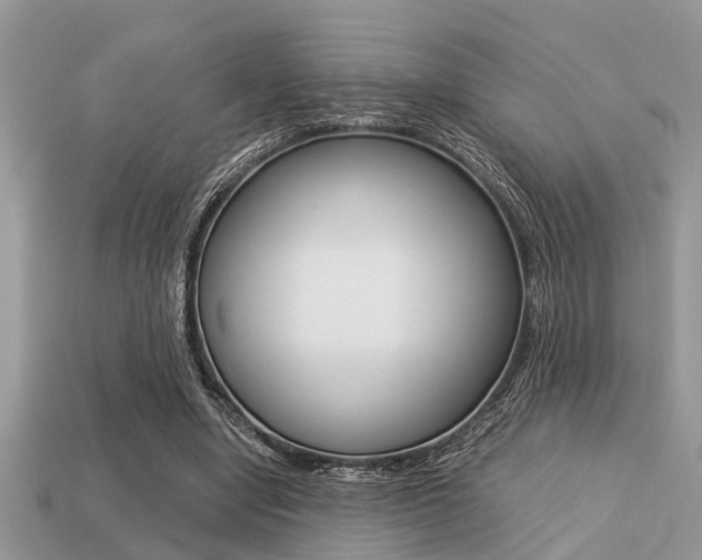X0000113220442200909100926