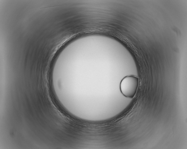 X0000113220444200909100926