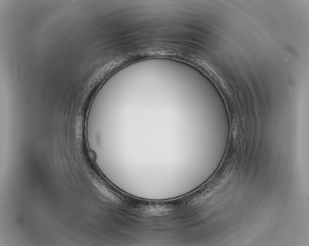 X0000113220445200909100926