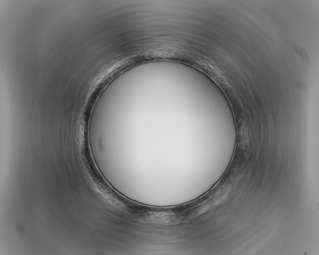 X0000113220446200909100926
