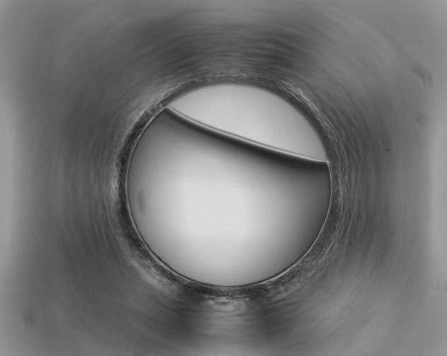 X0000113220447200909100926