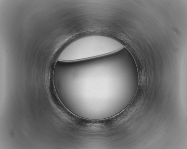 X0000113220448200909100926