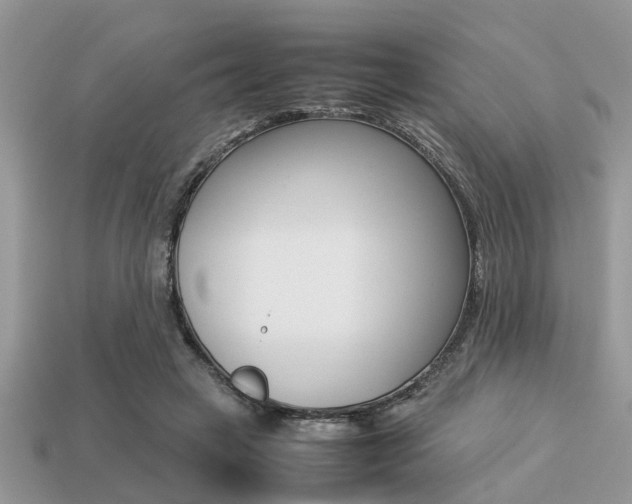 X0000113220449200909100926