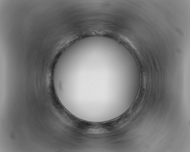 X0000113220451200909100926