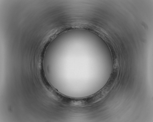 X0000113220452200909100926