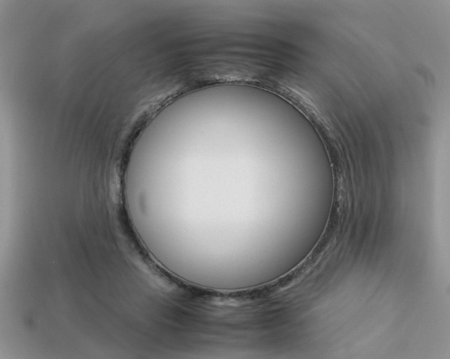 X0000113220453200909100926