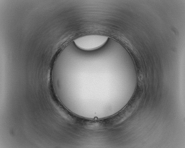 X0000113220454200909100926