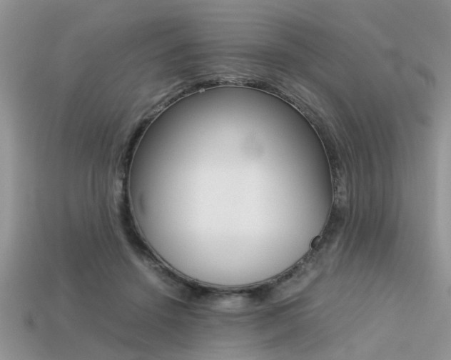 X0000113220456200909100926