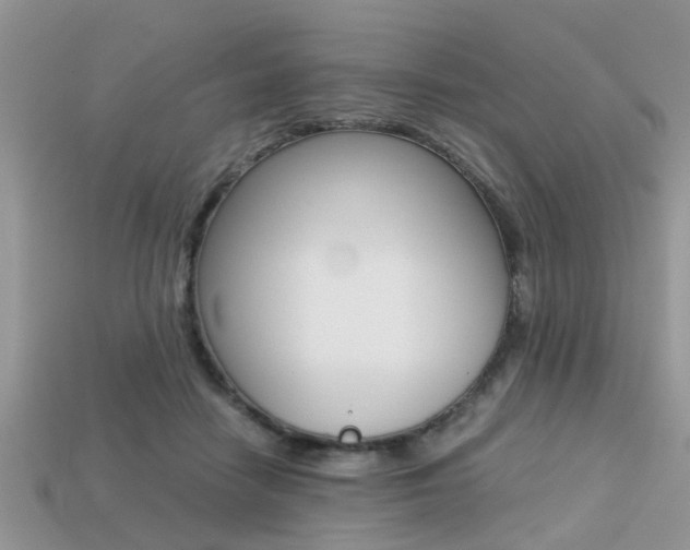 X0000113220458200909100926