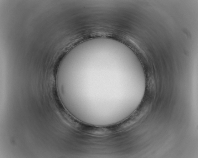 X0000113220459200909100926