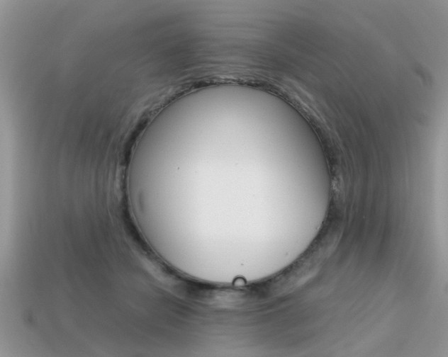 X0000113220462200909100926